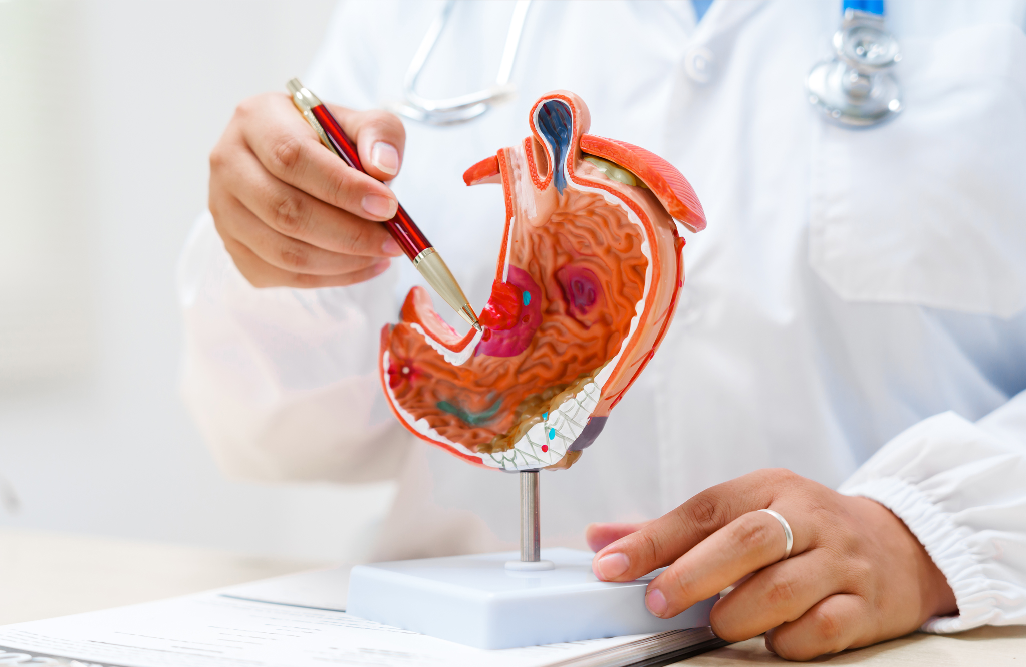 Gastroenteroloji